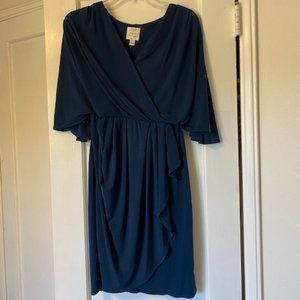 Blue Suzi Chin Dress